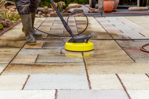 Best Patio and Deck Pressure Washing  in Lake Elmo, MN